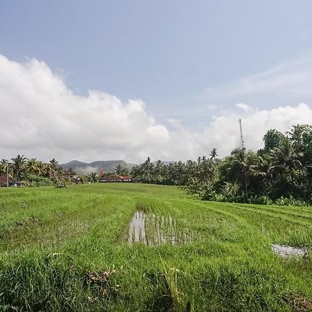 Mejan Home Stay Balian Esterno foto