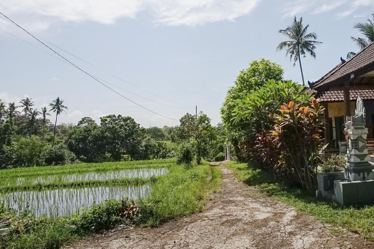 Mejan Home Stay Balian Esterno foto